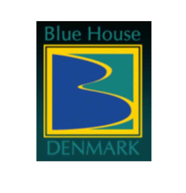 Blue House Denmarkヴィラ エクステリア 写真